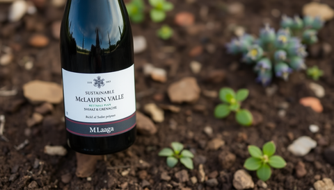 Hidden McLaren Vale Gems: Sustainable Shiraz & Grenache Selections for Cellaring and Sharing