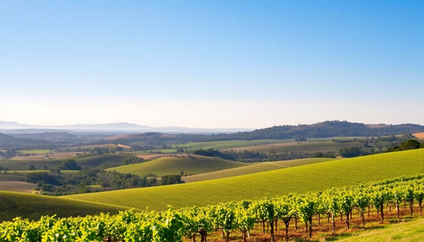 Exploring the Differentiating Characteristics of McLaren Vale Wines: A Comprehensive Guide to Premium Red Varietals and Sustainable Viticulture