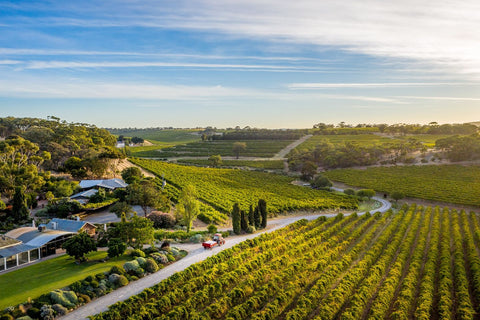 Coriole Vineyards