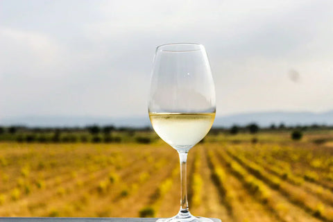 Comparing Chardonnay from Barossa Valley to Chardonnay from McLaren Vale