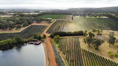 McLaren Vale vs Margaret River Cabernet Sauvignon