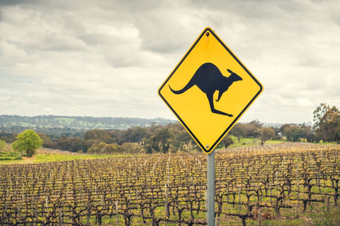 Australian Wine Exports 2024: A Comprehensive Market Analysis