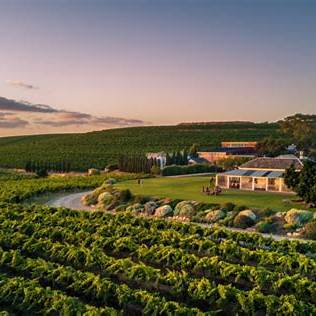 What is the Best Time to Visit McLaren Vale Wineries?