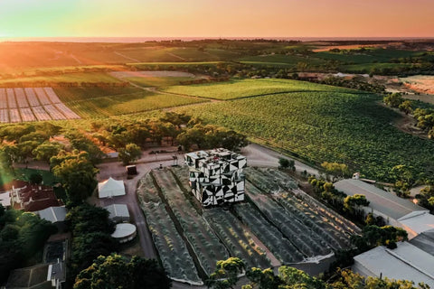 The Ultimate Guide to McLaren Vale Shiraz