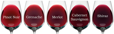 Red Wine Styles: A Complete Guide from Light to Full-Bodied