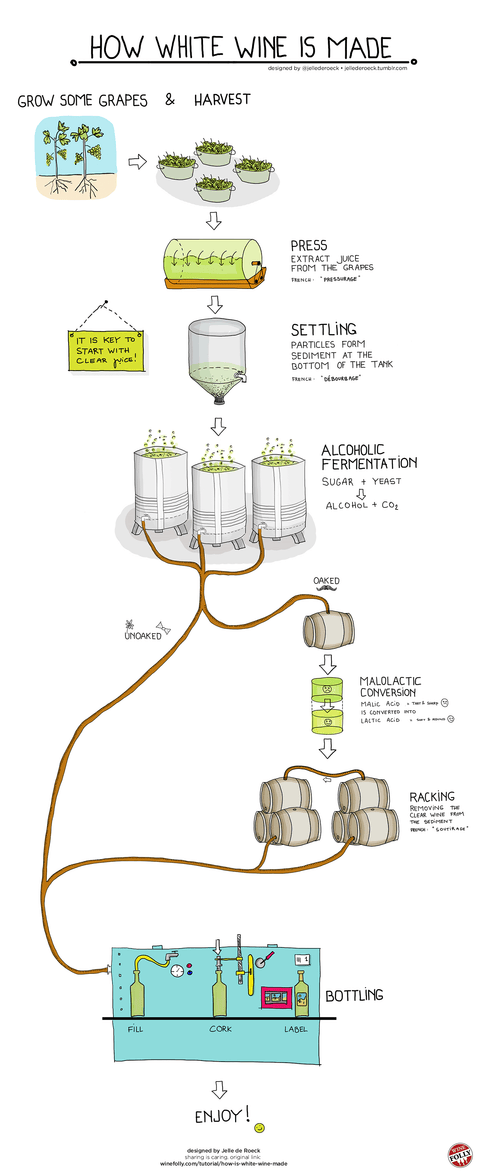 How White Wine is Made: A Step-by-Step Guide