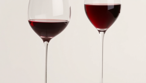 Shiraz vs Merlot: Which Red Wine Reigns Supreme in 2025?