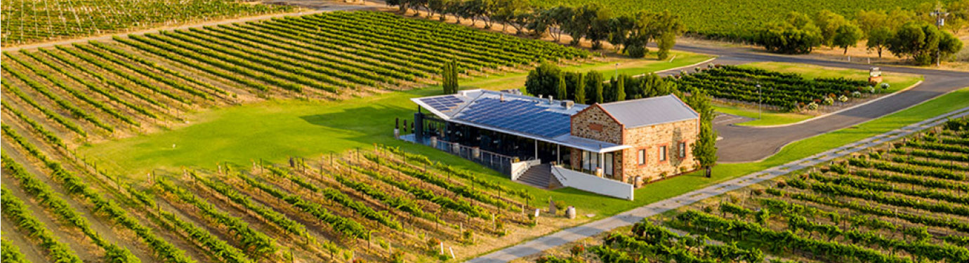 Angove Angove Family Winemakers – McLaren Vale Cellars