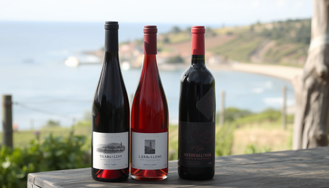 Coastal Classics: McLaren Vale Wines – Premium Shiraz, Grenache & Cabernet from Boutique Cellars to Australia-wide Delivery