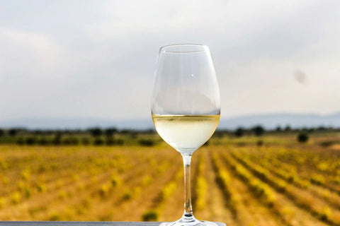 White Wine: The Essential Australian Guide