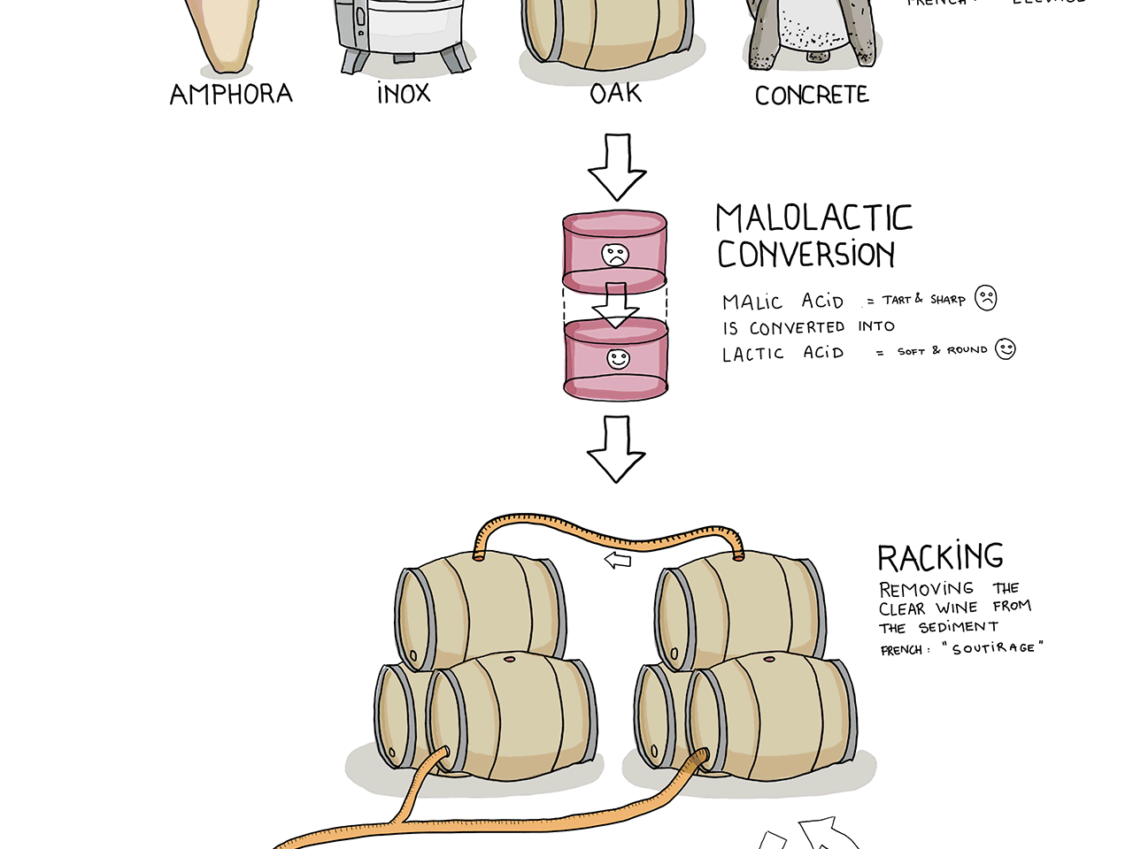 A Guide to Understanding Wine Acidity McLaren Vale Cellars