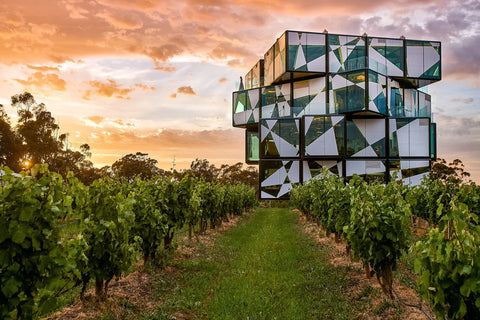 10 Bucket List Things to Do in McLaren Vale