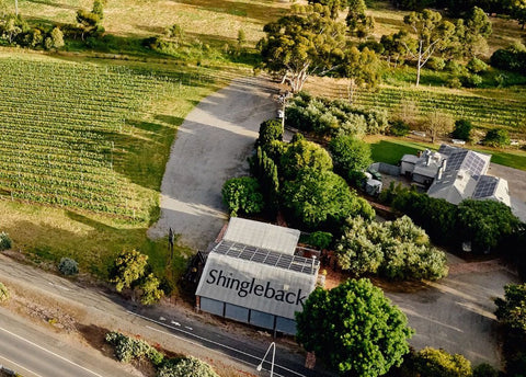 Shingleback Closure Reflects Growing Pressures in the Australian Wine Industry