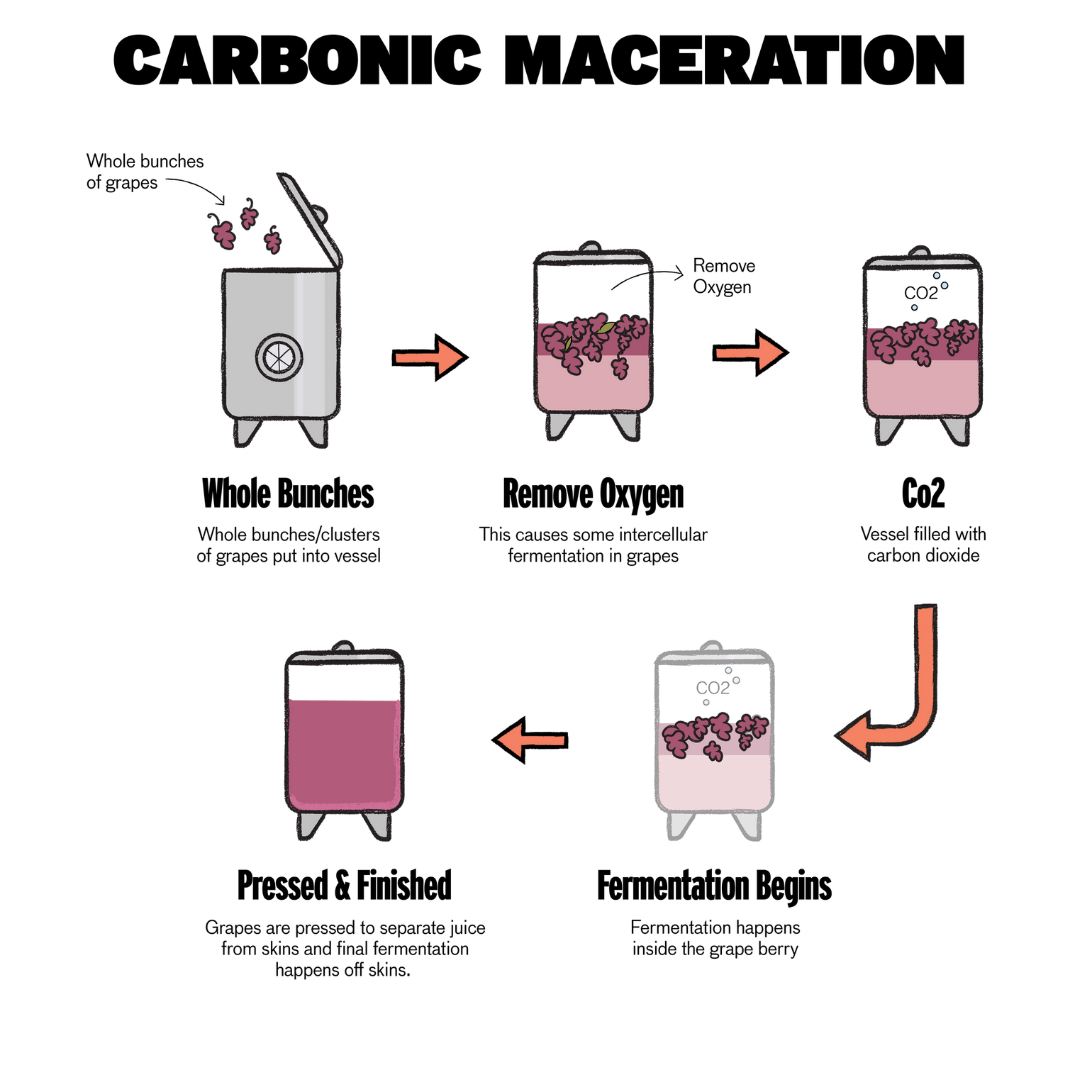 Wine 101 – Tagged 