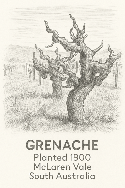 Food Pairings With McLaren Vale Grenache