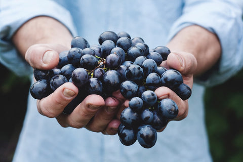 The Future of Online Wine Delivery Services