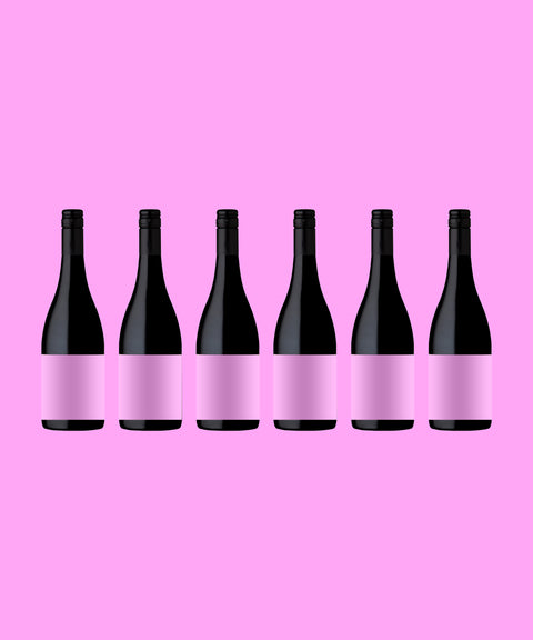 McLaren Vale Shiraz 2019 - 6 pack
